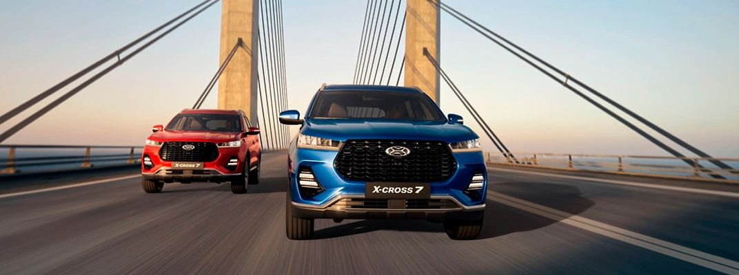 Купить XCITE в Ставрополе